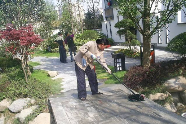 成功案例